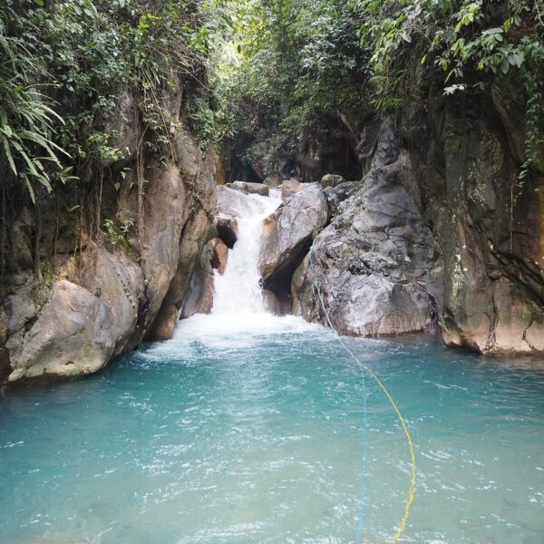 Day Trip to Bogor: Safari Park, Waterfall & Tea Plantation