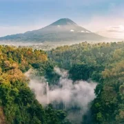 explore java before bali